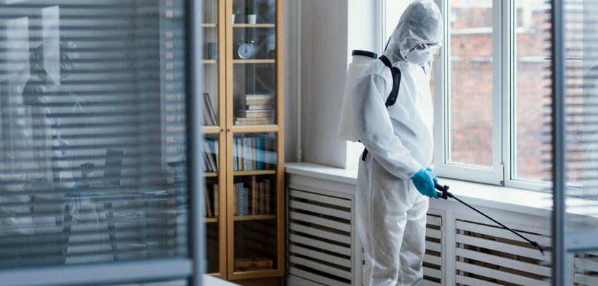 Office Pest Inspection
